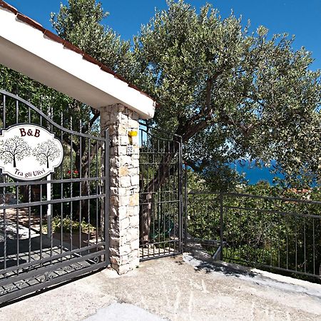 Tra Gli Ulivi Pietra Ligure Exterior foto