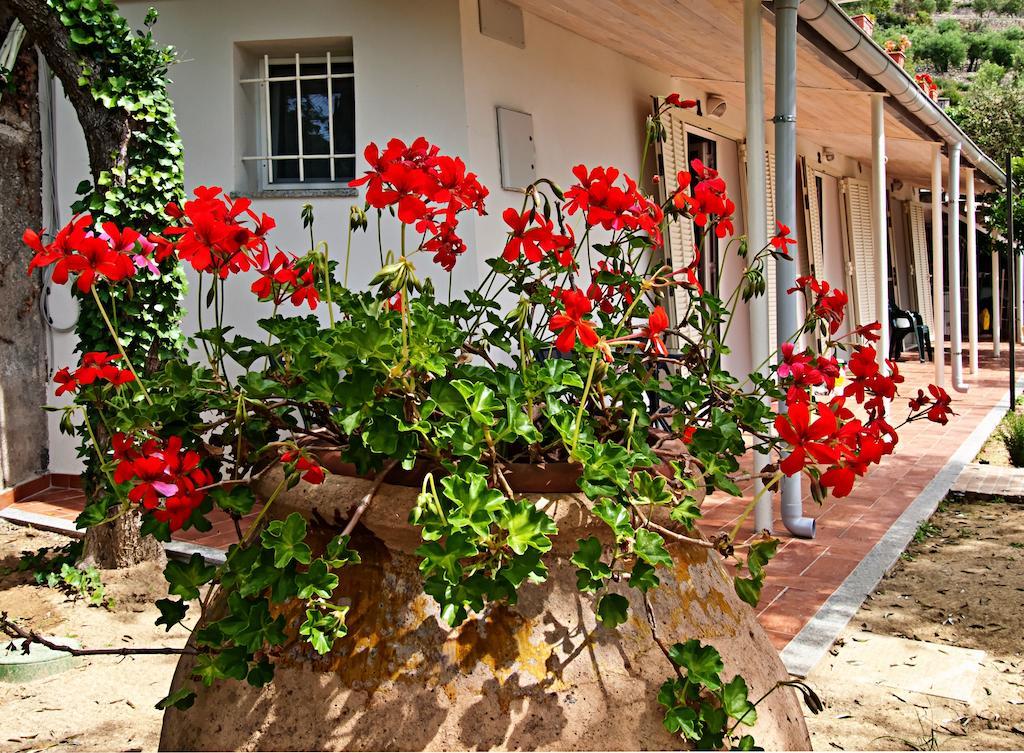 Tra Gli Ulivi Pietra Ligure Exterior foto